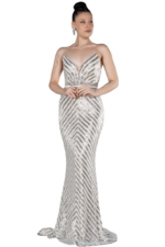 Silver evening dress